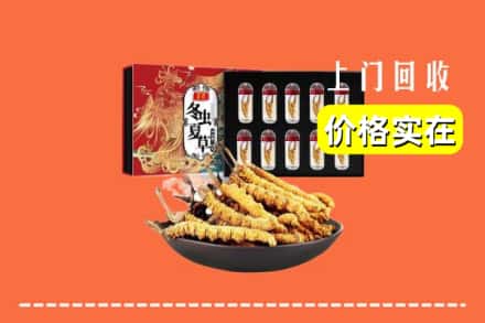 榆林定边县回收冬虫夏草