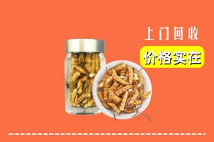 收购资讯:榆林定边县回收散虫草